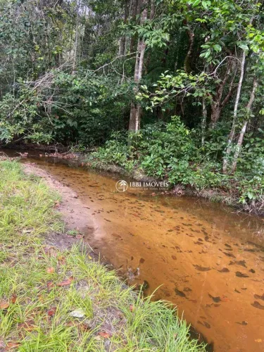 Fazenda à venda, 2810000 m² por R$ 5.600.000,00 - Nova Cabralia - Santa Cruz Cabrália/BA