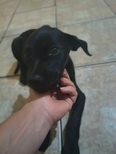 Doação