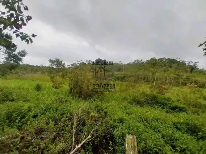 FAZENDA COMERCIAL em IGUAPE - SP, 3 km da rodovia