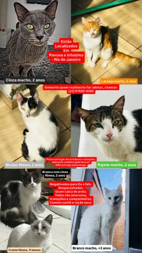 ADOÇÃO, DOAÇÃO, DOANDO