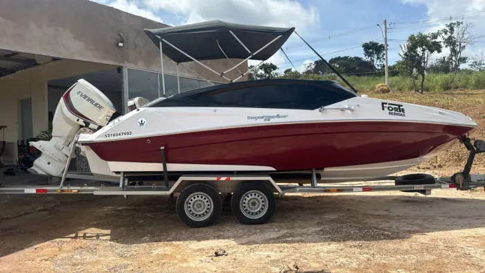 Lancha Royal Mariner Ano 2018