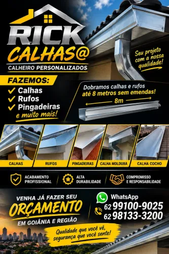 Rick calhas,rufos,e pingadeira