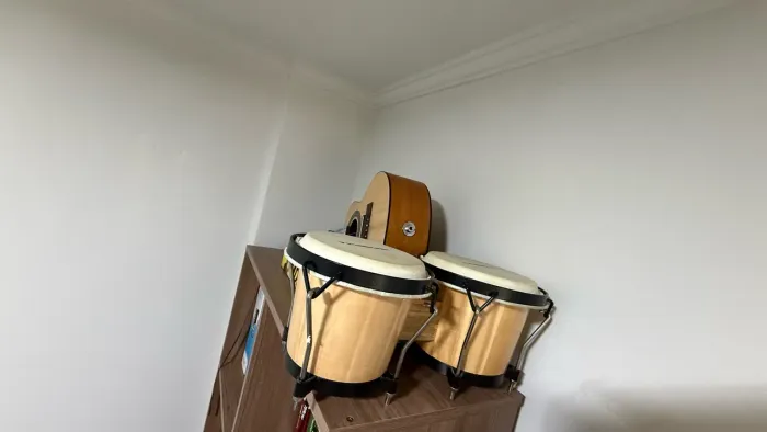 Bongo