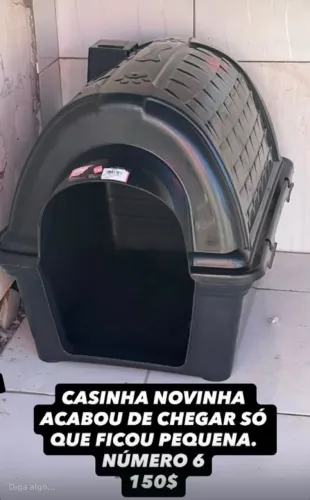 CASA DE CACHORRO TAMANHO 6