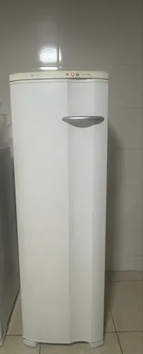 Freezer Frost Free 