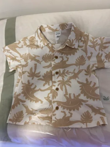 Camisa carters