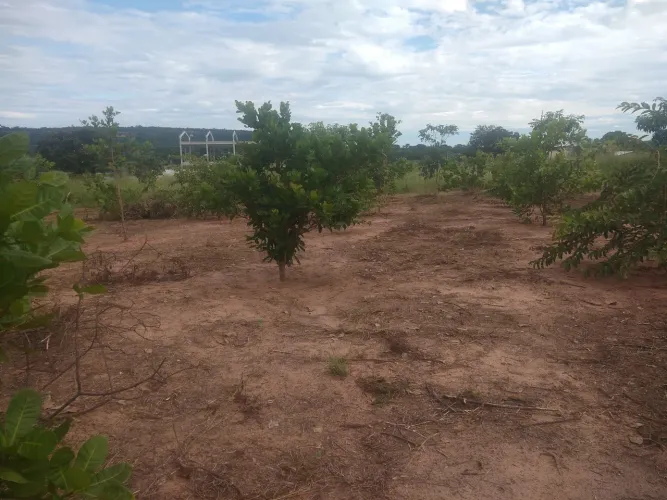 Lote  un 100 metros do lago