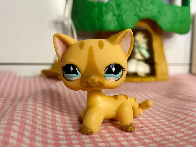 Gatinha short hair littlest pet shop