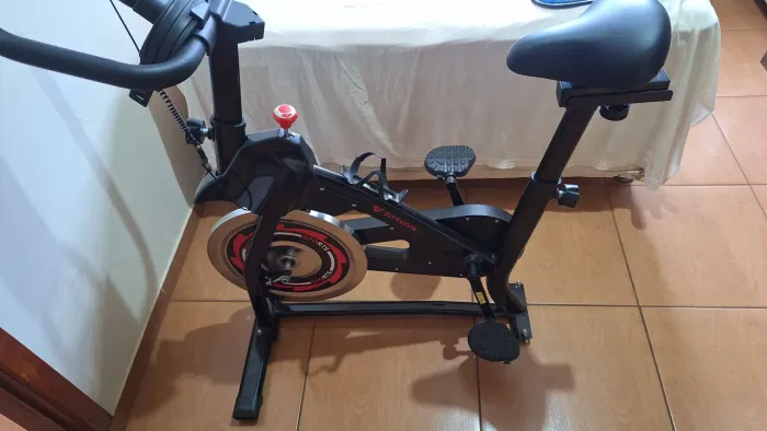 Bicicleta ergometrica