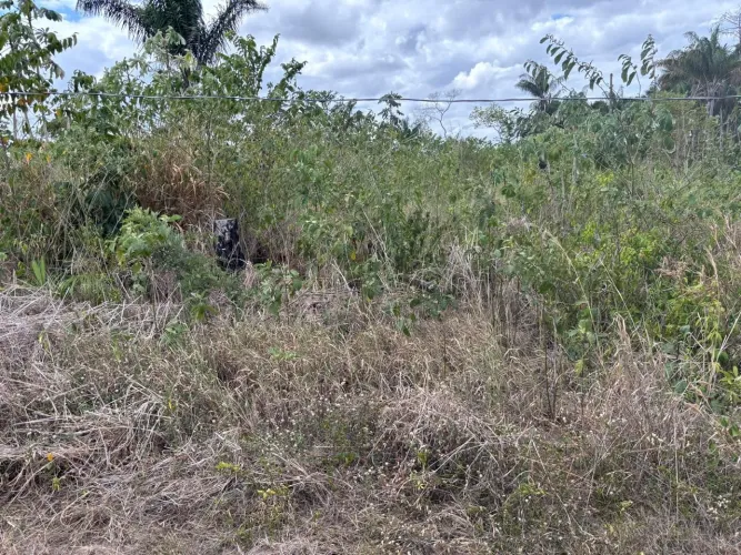 Vendo terreno no João de Barro 10x25