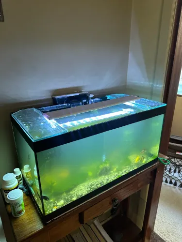 Aquário 55L Completo