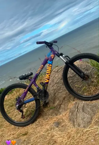 Bike vikingx Tuff25