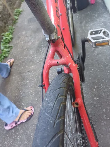 Bicicleta