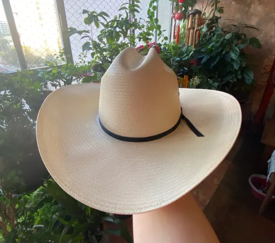 Chapéu Resistol Palha Natural 
