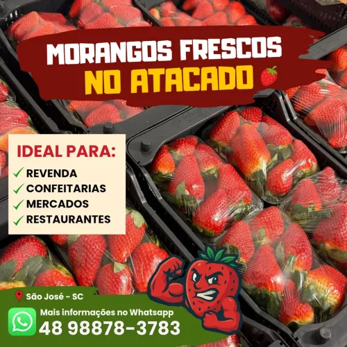 MORANGOS FRESCOS NO ATACADO! ?