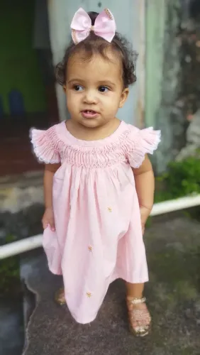 Vestido Infantil Casa de Abelha Bordado à Mão 100% Algodão