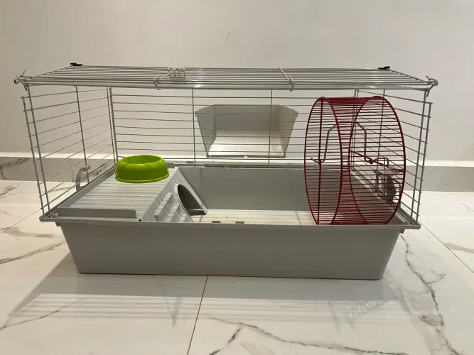 Gaiola grande para porquinho da índia