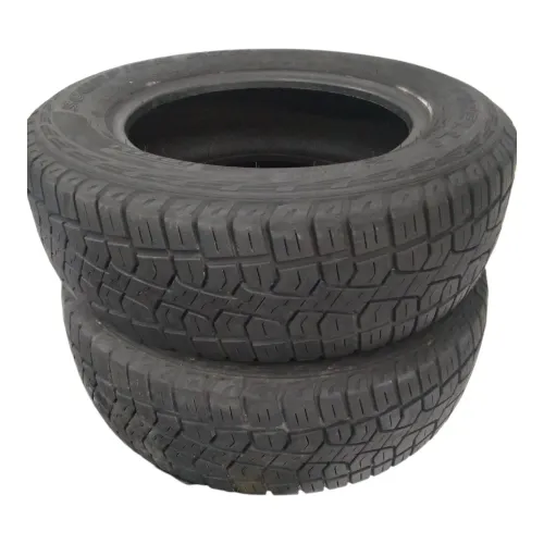 Par Pneu Pirelli Aro 15 Scorpion 205/65/15 Preto
