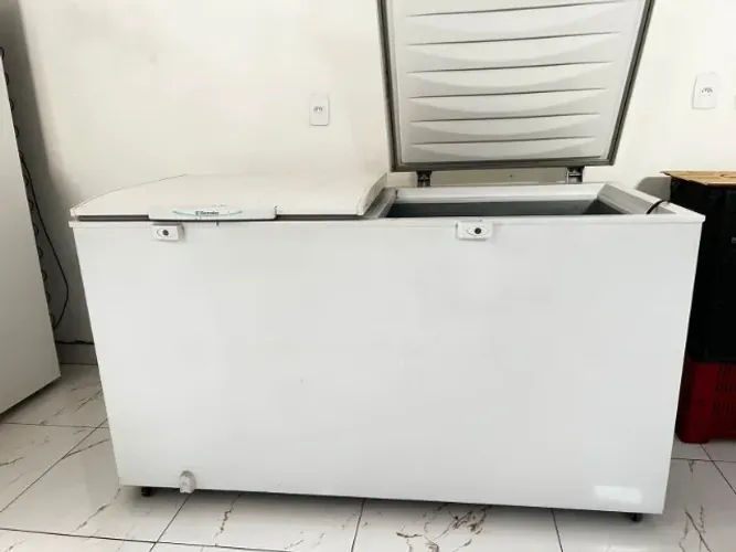 Freezer Electrolux 02 portas