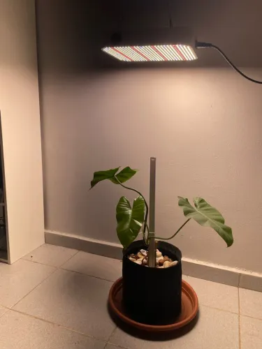 Led para Estufa Indoor 100W Full Spectrum + Temporizador 
