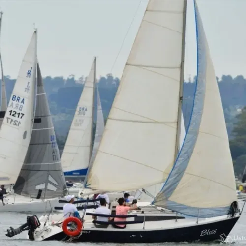 Barco Veleiro Fast 230