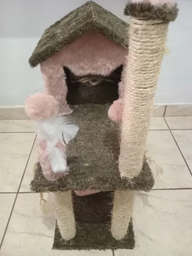 Casinha de gato