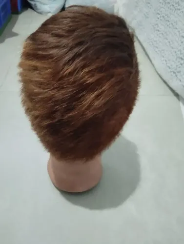 Cabeça de manequim, são 5 cabeças femininas carecas e uma cabeça masculina com cabelo.