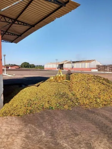 Fazenda à Venda - Zona Rural - Piumhi/MG