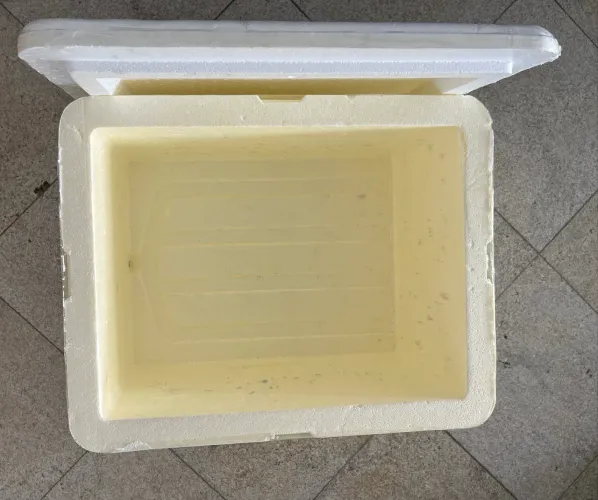 Caixa Térmica de Isopor 80L com Dreno - Usada 1 Vez - Isofort  