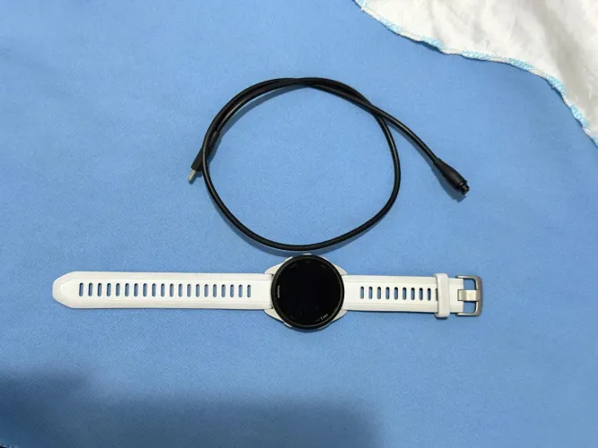 Garmin 165 basic