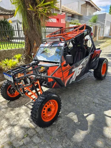 Gaiola tatu 2024 praticamente 0km