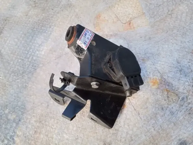 Sensor do Acelerador Clio