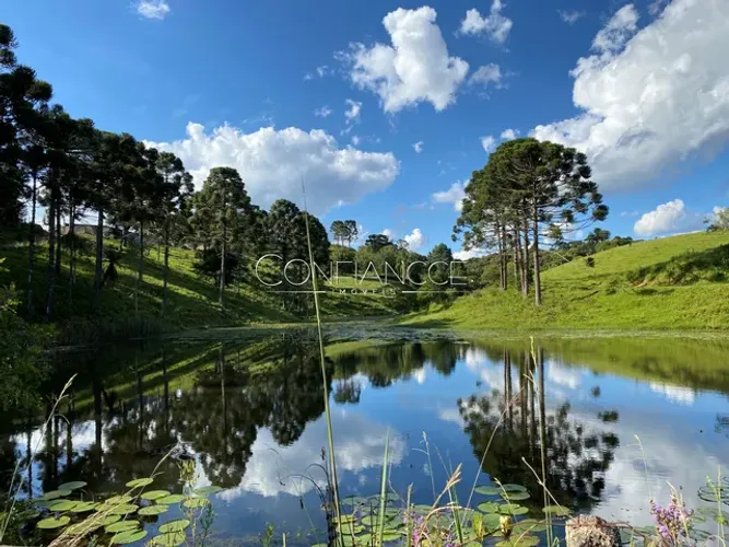 Haras á venda em Tijucas do Sul, aceita permuta, Fazenda no Campo Alto - Confiancce Imóvei