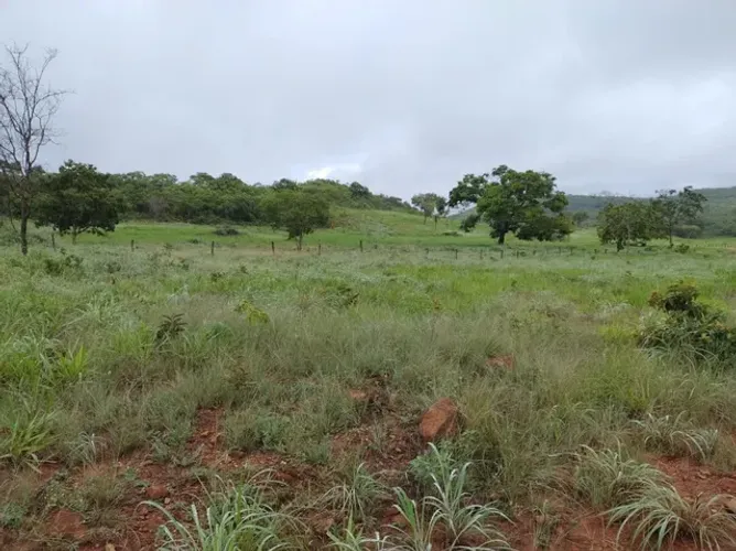 Excelente fazenda em Niquelândia GO