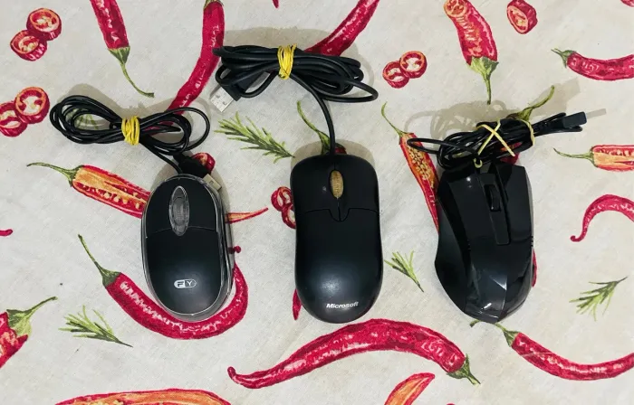MOUSE