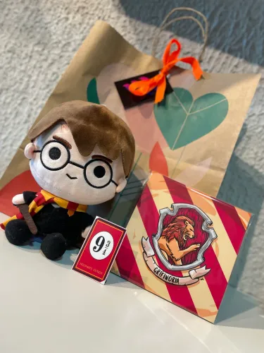 Harry Potter kit colecionável 