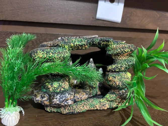 Ornamentação Para Arquario