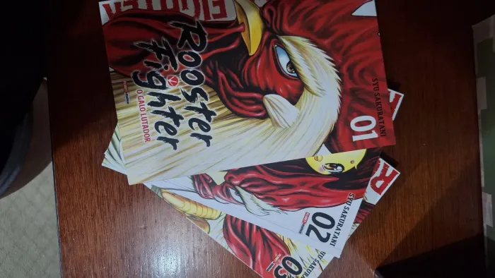 Rooster fighter 1 a 3