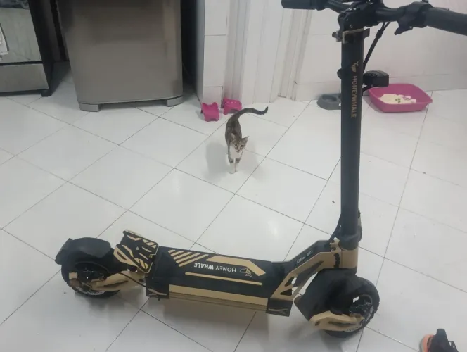 Honeywhale G2 PRO