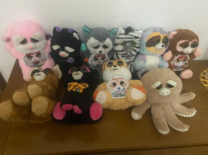 Lote com 10 Feisty 