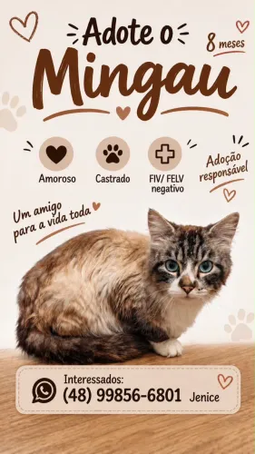 Gato macho castrado