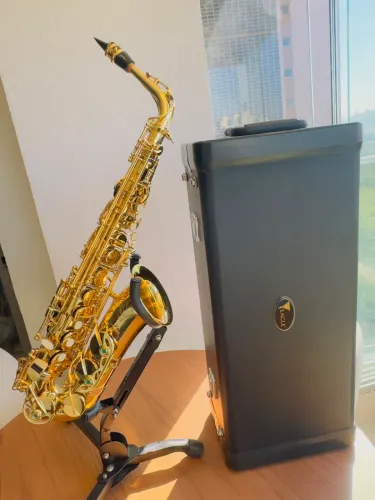 Sax Alto Eagle SA501 Seminovo + Case e Boquilha Vandoren V5 A27
