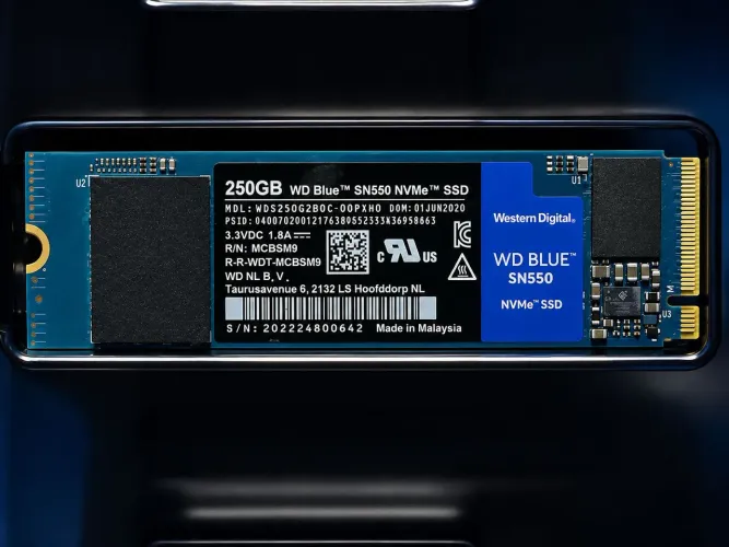 SSD WD Blue SN550 250GB