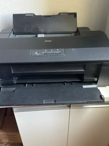 Impressora L1800 com defeito