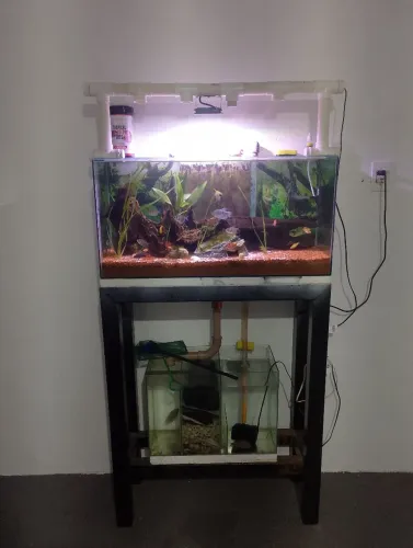 Aquário 100L