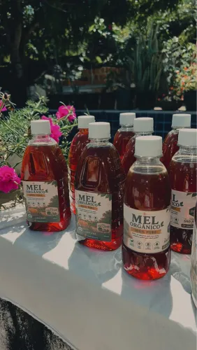 Vendo Mel 100%natural