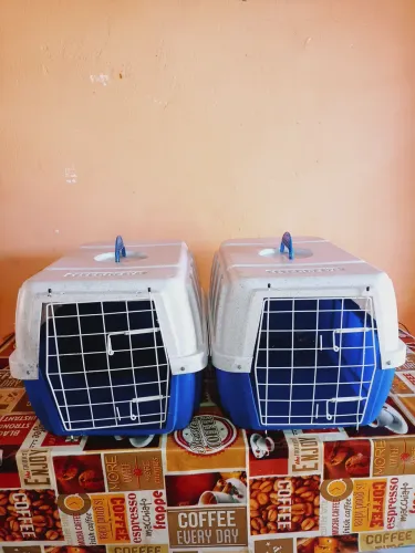Duas Caixas de transporte e viagem para cães e gatos