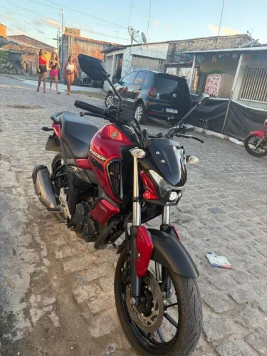 Fz15