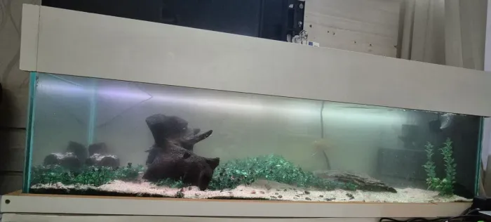 Aquário 120L