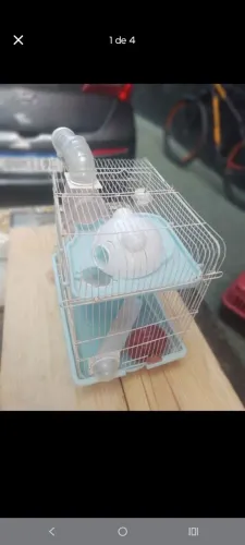 Gaiola para hamster completa 